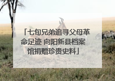 七旬兄弟追寻父母革命足迹 向阳新县档案馆捐赠珍贵史料