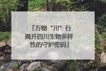 万物“川”行 揭开四川生物多样性的守护密码