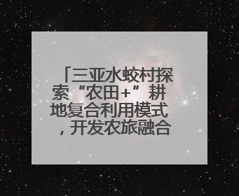三亚水蛟村探索“农田+”耕地复合利用模式，开发农旅融合项目