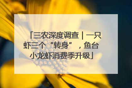 三农深度调查｜一只虾三个“转身”，鱼台小龙虾消费季升级