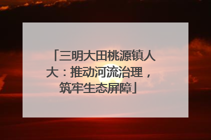 三明大田桃源镇人大：推动河流治理，筑牢生态屏障