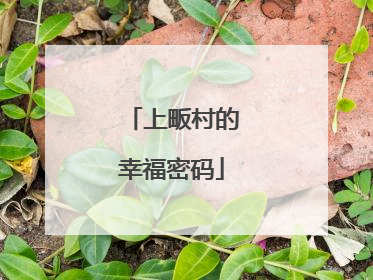上畈村的幸福密码
