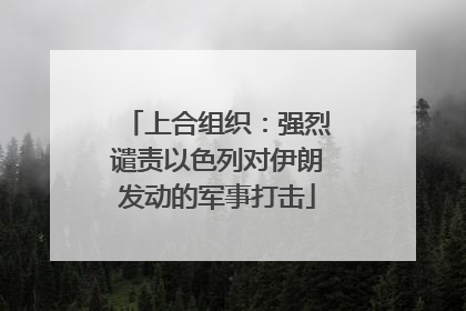 上合组织：强烈谴责以色列对伊朗发动的军事打击