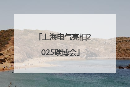 上海电气亮相2025碳博会