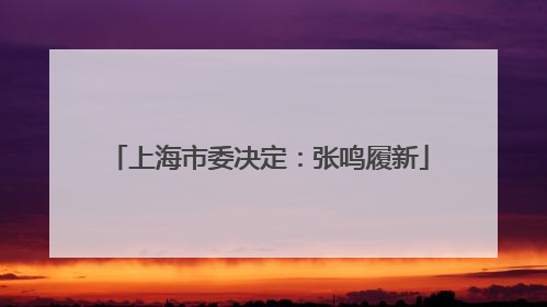 上海市委决定：张鸣履新
