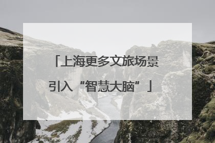 上海更多文旅场景引入“智慧大脑”