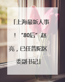 上海最新人事！“80后”赵亮，已任普陀区委副书记