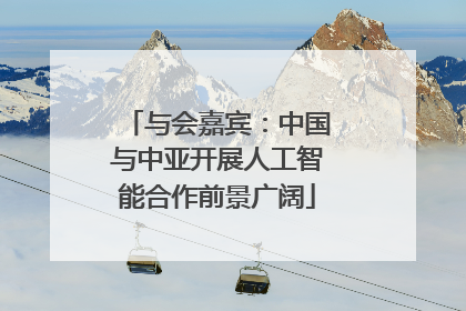 与会嘉宾：中国与中亚开展人工智能合作前景广阔