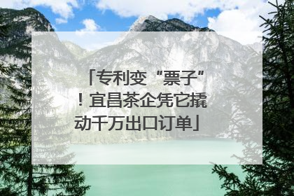 专利变“票子”！宜昌茶企凭它撬动千万出口订单