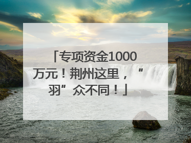 专项资金1000万元！荆州这里，“羽”众不同！