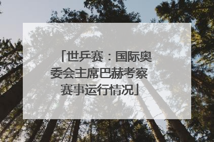 世乒赛：国际奥委会主席巴赫考察赛事运行情况