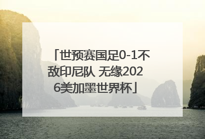 世预赛国足0-1不敌印尼队 无缘2026美加墨世界杯