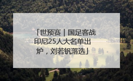 世预赛｜国足客战印尼25人大名单出炉，刘若钒落选
