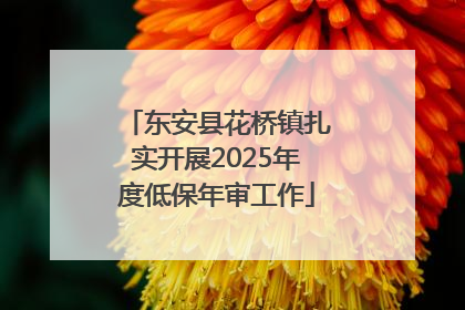 东安县花桥镇扎实开展2025年度低保年审工作