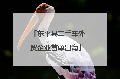 东平县二手车外贸企业首单出海