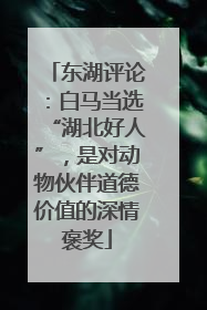 东湖评论：白马当选“湖北好人”，是对动物伙伴道德价值的深情褒奖