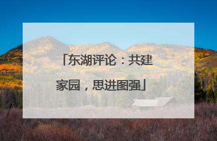 东湖评论：共建家园，思进图强
