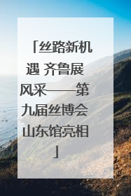 丝路新机遇 齐鲁展风采——第九届丝博会山东馆亮相