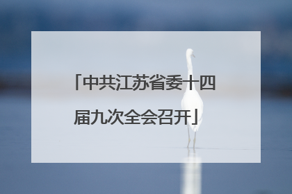 中共江苏省委十四届九次全会召开