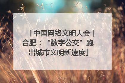 中国网络文明大会｜合肥：“数字公交”跑出城市文明新速度
