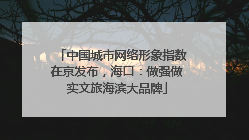 中国城市网络形象指数在京发布，海口：做强做实文旅海滨大品牌