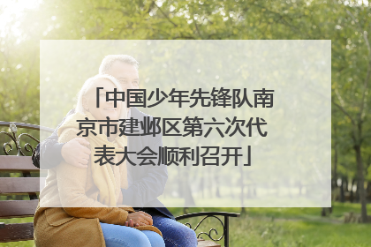 中国少年先锋队南京市建邺区第六次代表大会顺利召开
