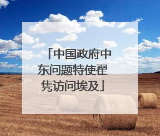 中国政府中东问题特使翟隽访问埃及