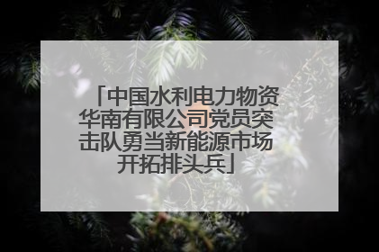 中国水利电力物资华南有限公司党员突击队勇当新能源市场开拓排头兵