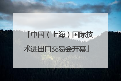 中国（上海）国际技术进出口交易会开幕