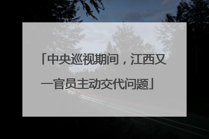 中央巡视期间，江西又一官员主动交代问题