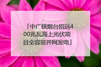 中广核烟台招远400兆瓦海上光伏项目全容量并网发电