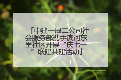 中建一局二公司社会服务部携手滨河东里社区开展“庆七一”联建共建活动
