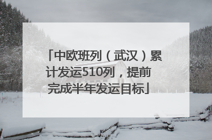 中欧班列（武汉）累计发运510列，提前完成半年发运目标