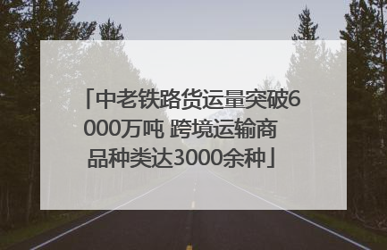 中老铁路货运量突破6000万吨 跨境运输商品种类达3000余种