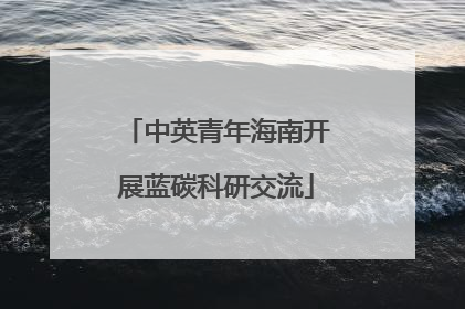 中英青年海南开展蓝碳科研交流