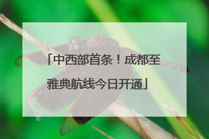 中西部首条！成都至雅典航线今日开通