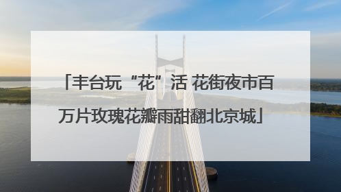 丰台玩“花”活 花街夜市百万片玫瑰花瓣雨甜翻北京城