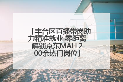 丰台区直播带岗助力精准就业 零距离解锁京东MALL200余热门岗位