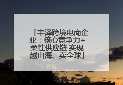 丰泽跨境电商企业：核心竞争力+柔性供应链 实现越山海、卖全球