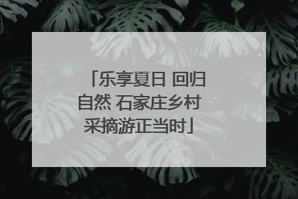 乐享夏日 回归自然 石家庄乡村采摘游正当时