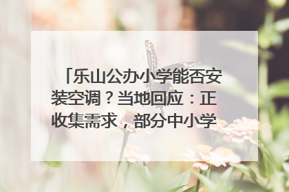 乐山公办小学能否安装空调？当地回应：正收集需求，部分中小学已启动安装｜云求助