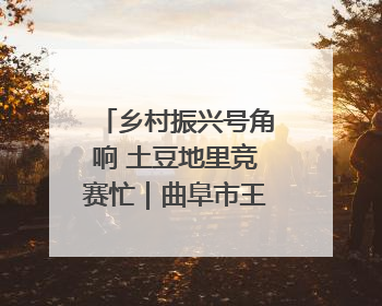 乡村振兴号角响 土豆地里竞赛忙｜曲阜市王庄镇开展土豆收获劳动竞赛