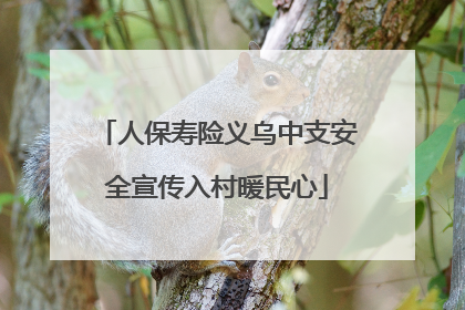 人保寿险义乌中支安全宣传入村暖民心