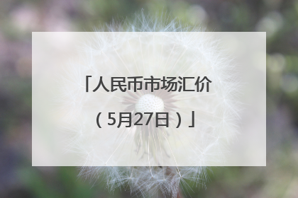 人民币市场汇价（5月27日）