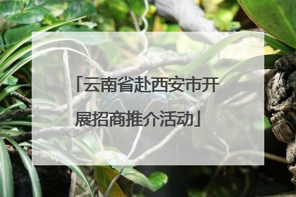 云南省赴西安市开展招商推介活动