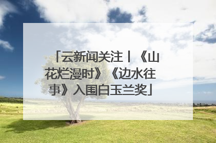云新闻关注丨《山花烂漫时》《边水往事》入围白玉兰奖