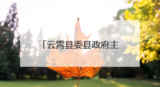 云霄县委县政府主要领导调研党建引领国企改革工作