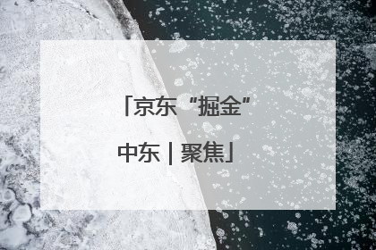 京东“掘金”中东｜聚焦