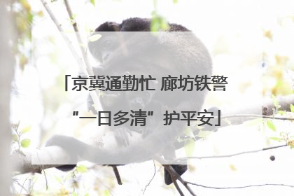京冀通勤忙 廊坊铁警“一日多清”护平安