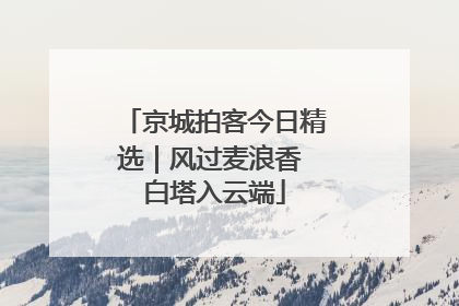 京城拍客今日精选｜风过麦浪香 白塔入云端